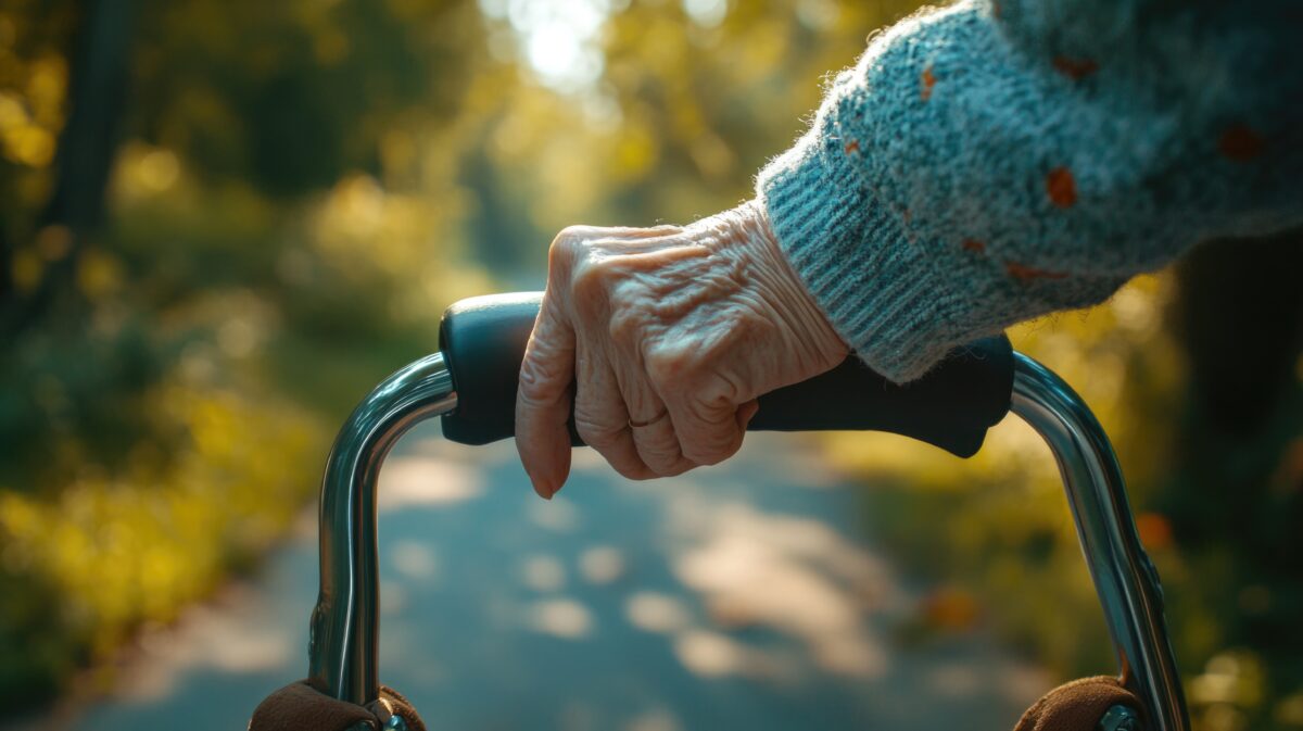 Elderly mobility support